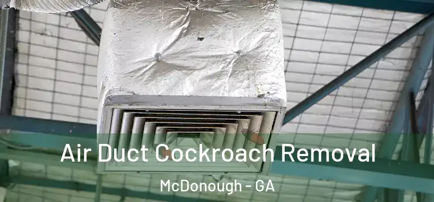  Air Duct Cockroach Removal McDonough - GA