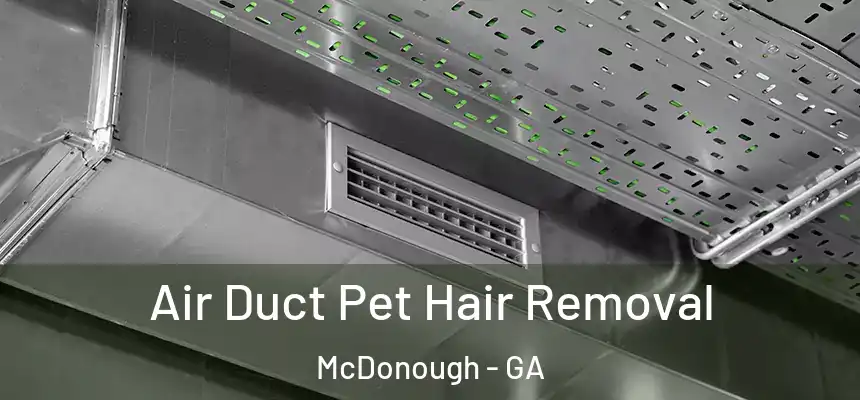  Air Duct Pet Hair Removal McDonough - GA