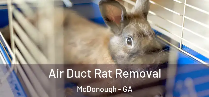  Air Duct Rat Removal McDonough - GA