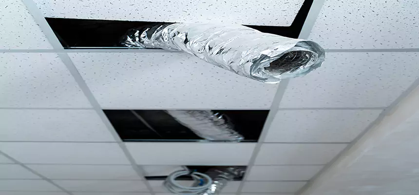 Affordable HVAC Sanitizing After Pest Removal in McDonough