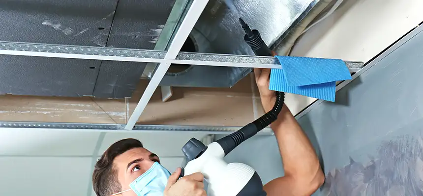 Our Air Duct Rodent Removal Services in McDonough, GA