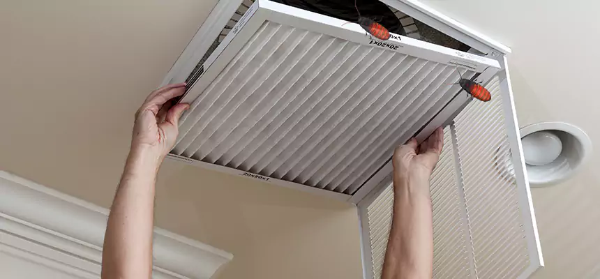 Our Insect Removal from Air Ducts Services in McDonough, GA