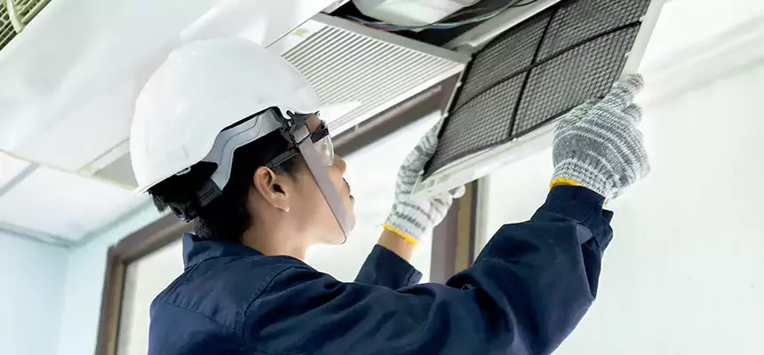 Our Mold & Mildew Removal from Air Ducts Services in McDonough, GA