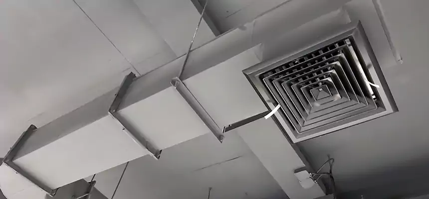 Our Pest Removal From Ducts Services in McDonough, GA