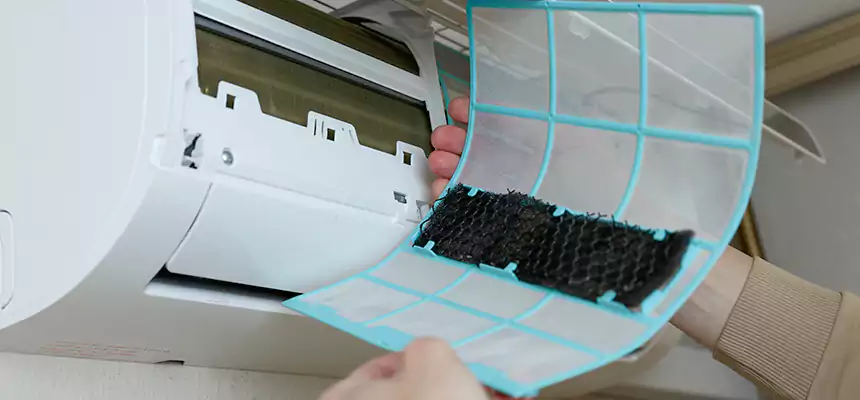 Gentle Ductwork Odor-Control Pet Dander Duct Cleaning in McDonough, GA