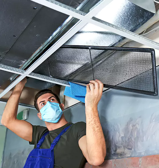 About Air Duct Bacteria Removal in McDonough