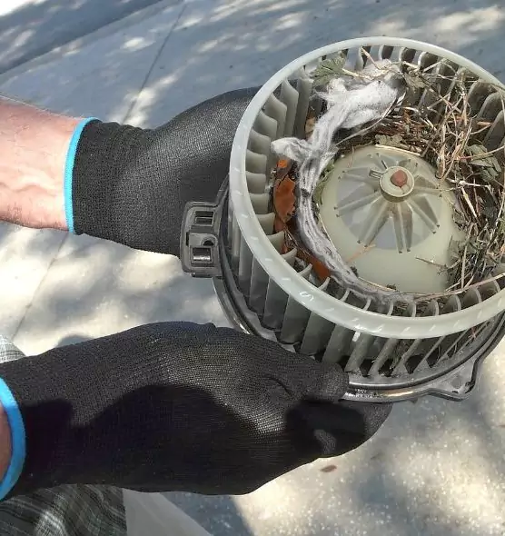 About Air Duct Mice Removal in McDonough, GA