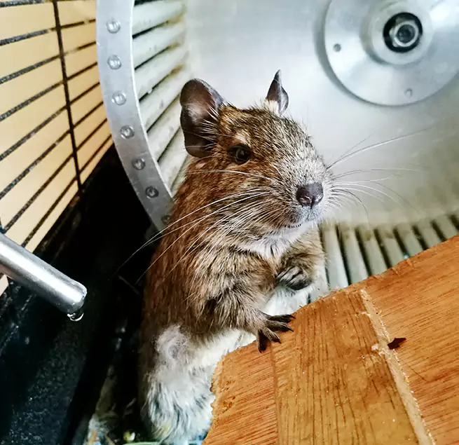 Why Homeowners & Businesses Trust Us McDonough, GA