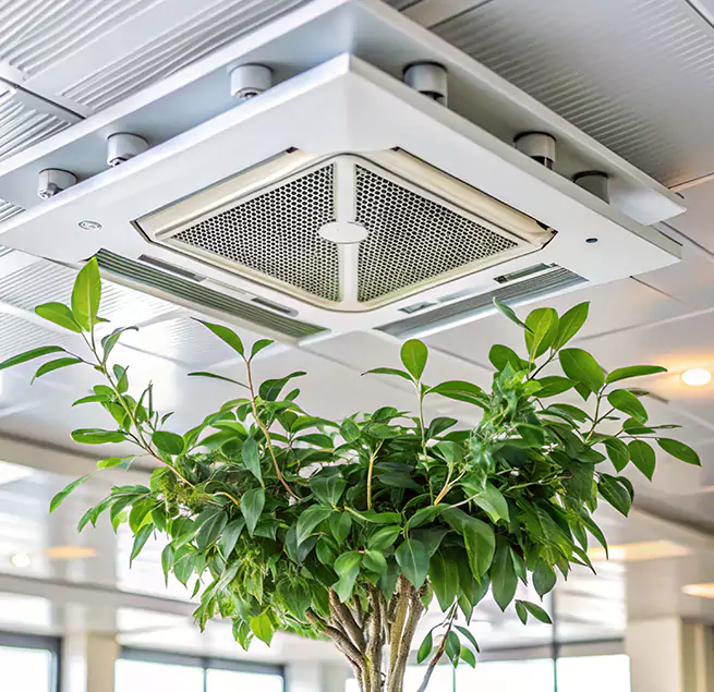 Why Homeowners & Businesses Trust Us in McDonough, GA