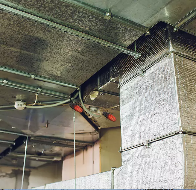 Why Homeowners & Businesses Trust Us McDonough, GA?