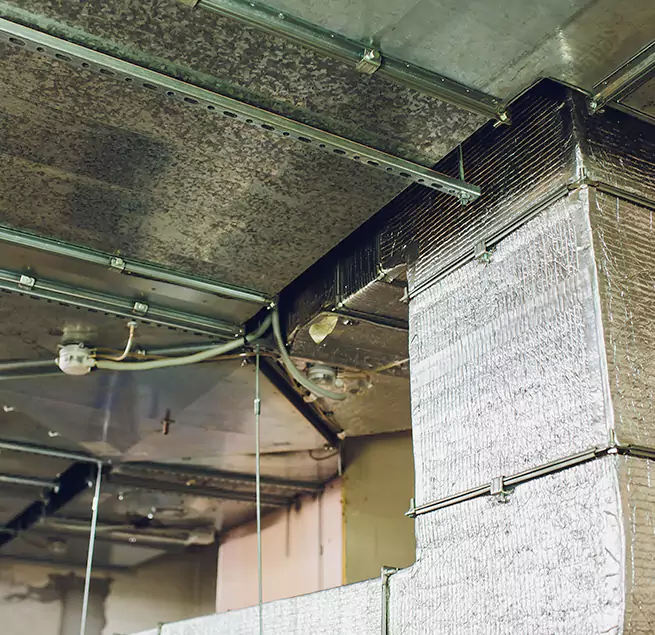 Why Homeowners & Businesses Trust Us in McDonough, GA?